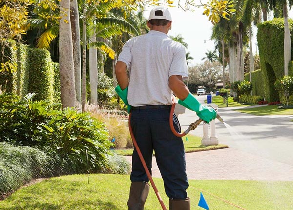 About Island Park NY Pest Control